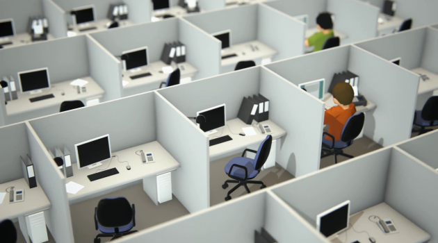 People working at desk in office cubicle
