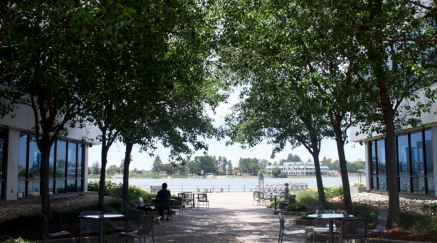 Office walkway with trees and bay