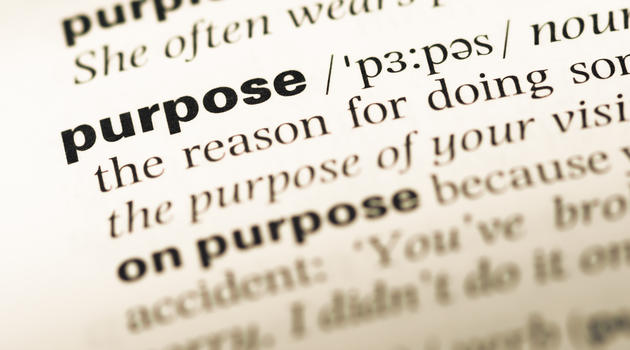 Purpose dictionary definition