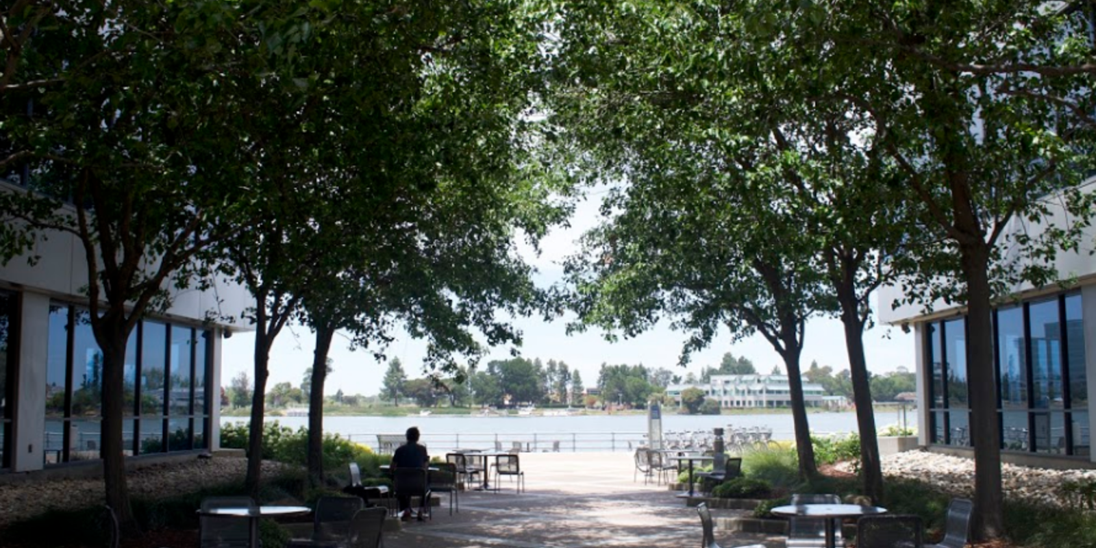 Office walkway with trees and bay