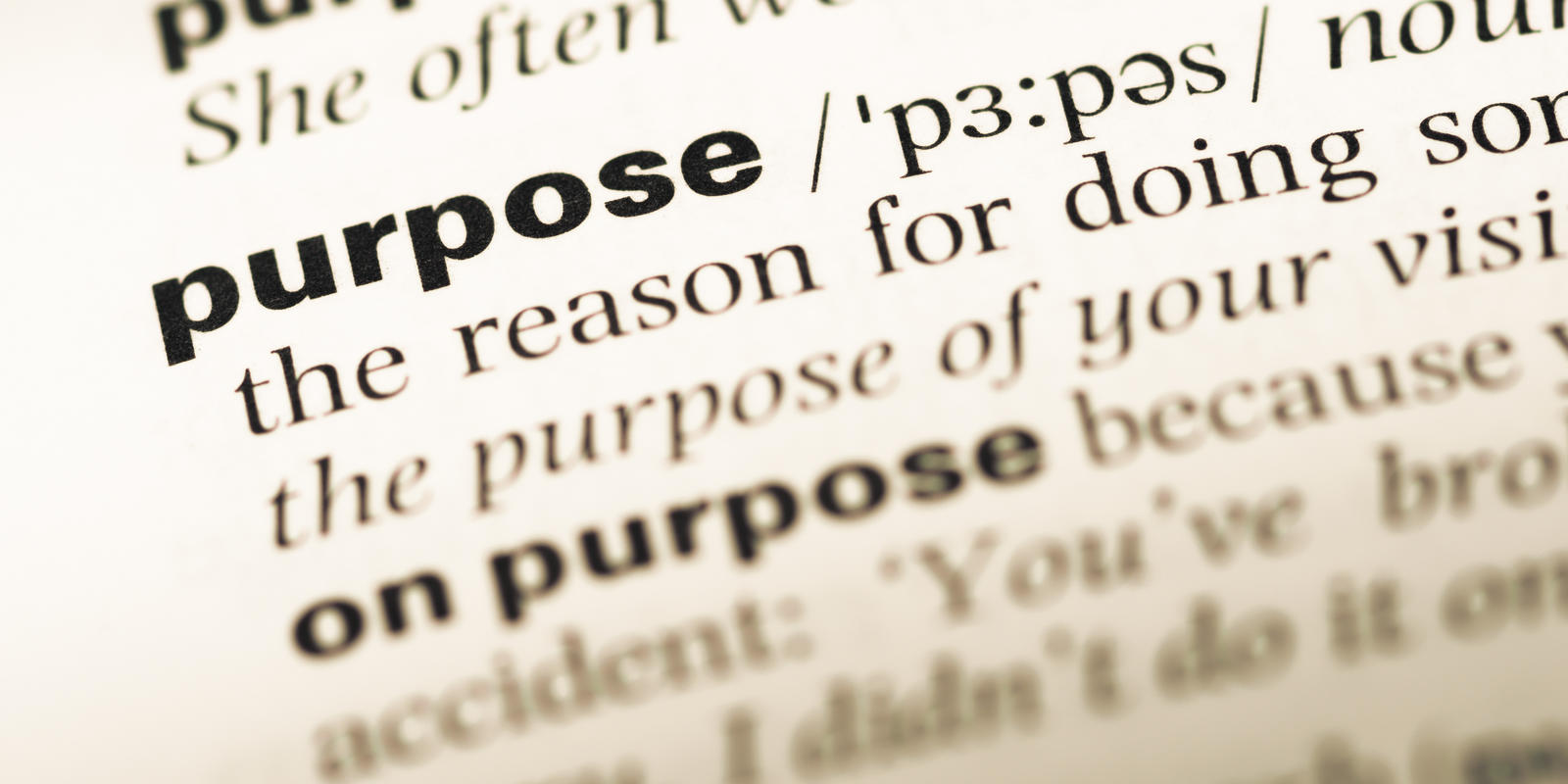 Purpose dictionary definition