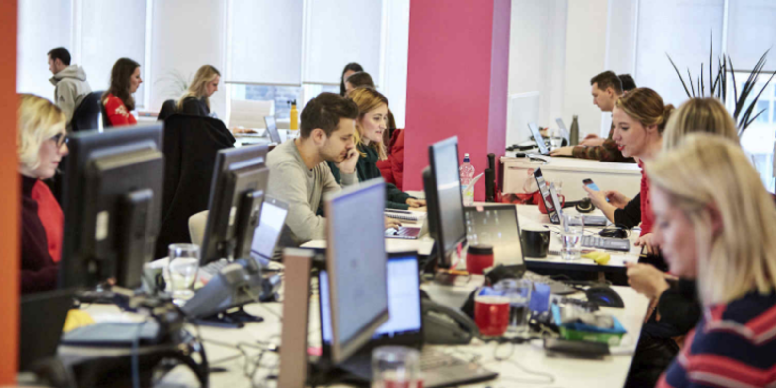 Picture of people working on their computers in an office. 