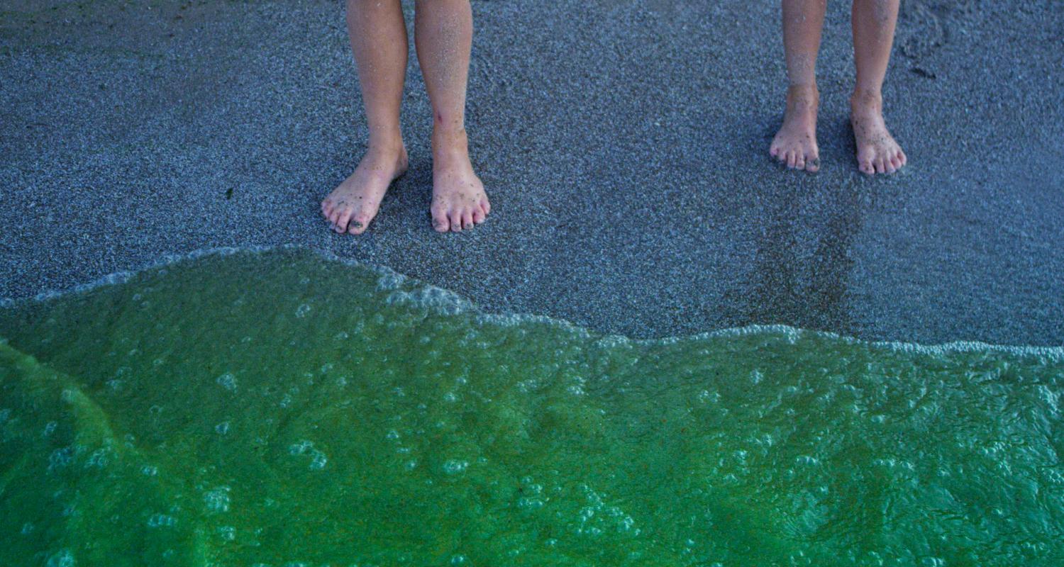 ScottsMiracle-Gro algae bloom with kids feet 
