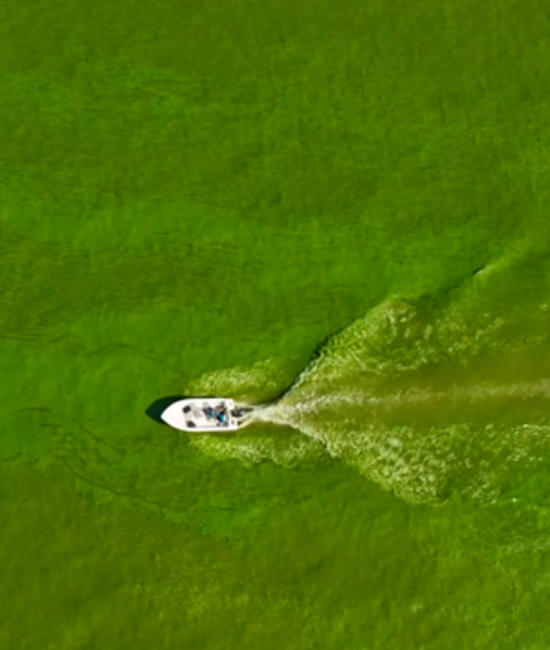 Boat driving through green water 
